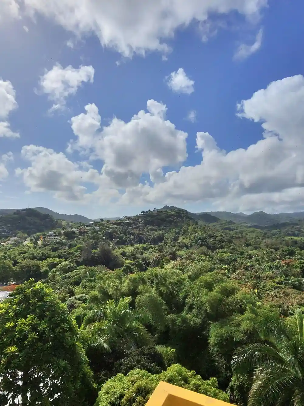 Bright cloud above the rainforest