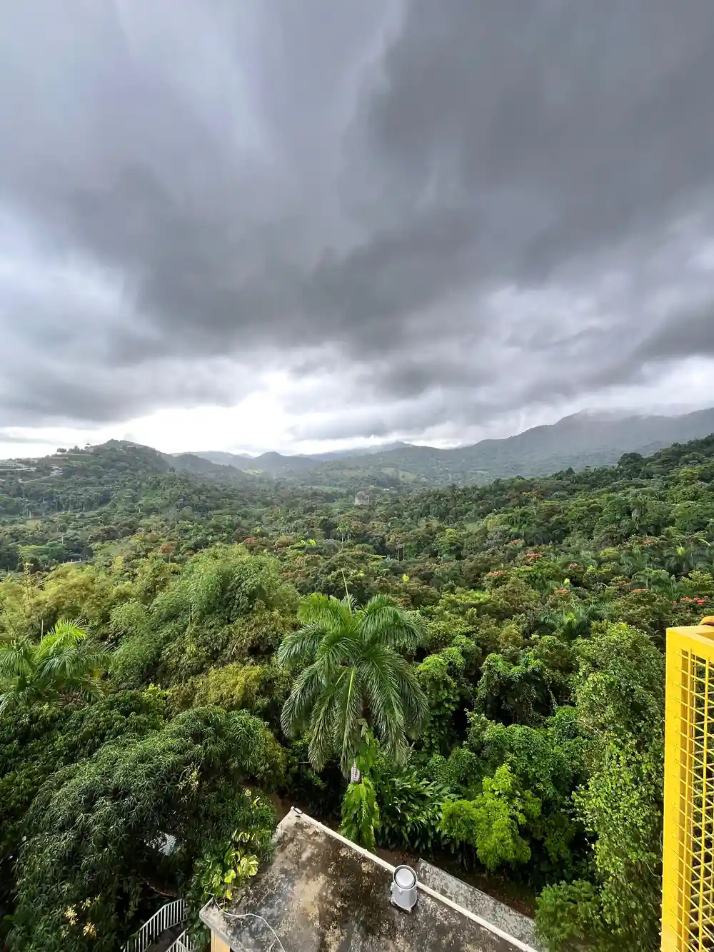 Cloud over the forested mountains