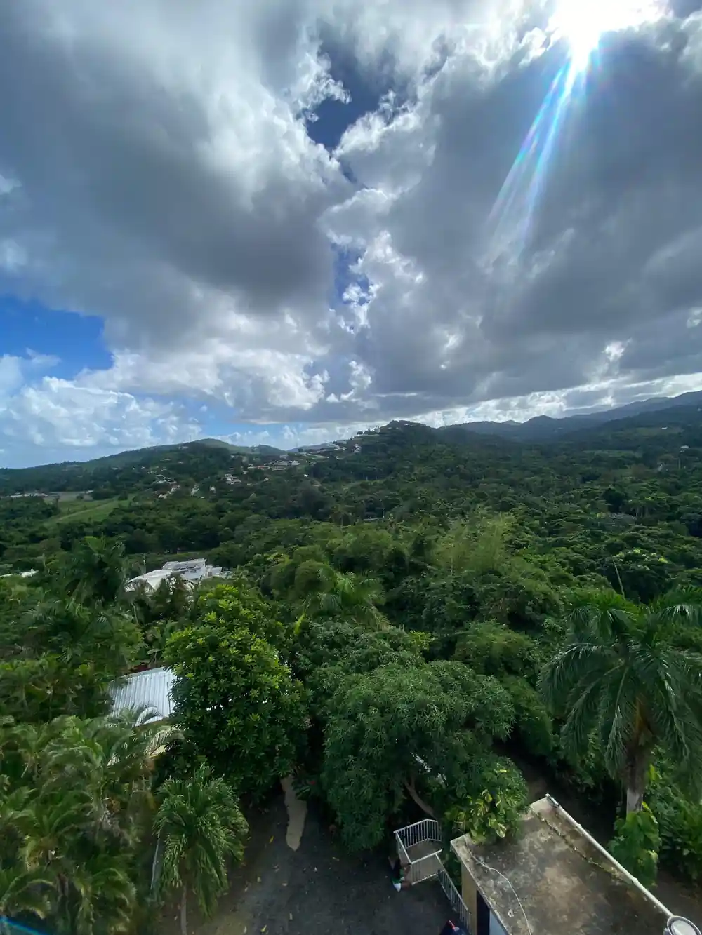The forest and the hills under heavy cloud