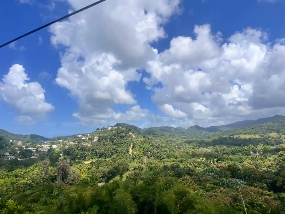Green hills rolling away under a bright sky