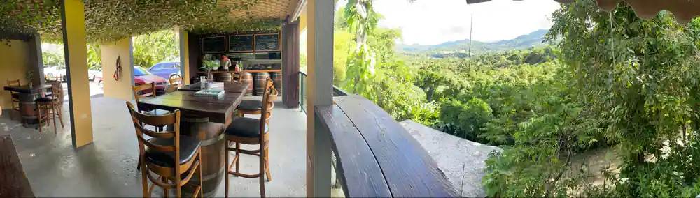 An open deck looking into the forest