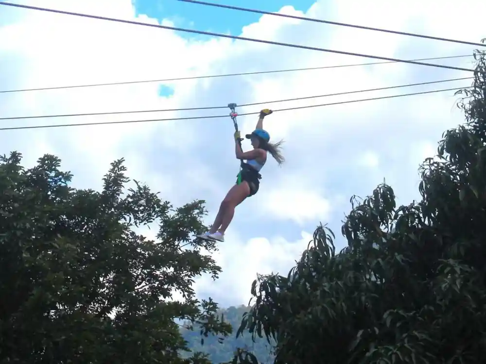 A rider silhouetted on the wire above the treetops