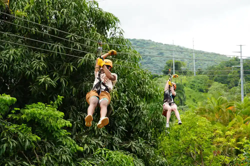 Two riders among the tree crowns