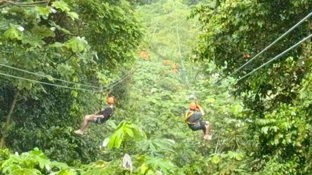 Two riders far off above the green