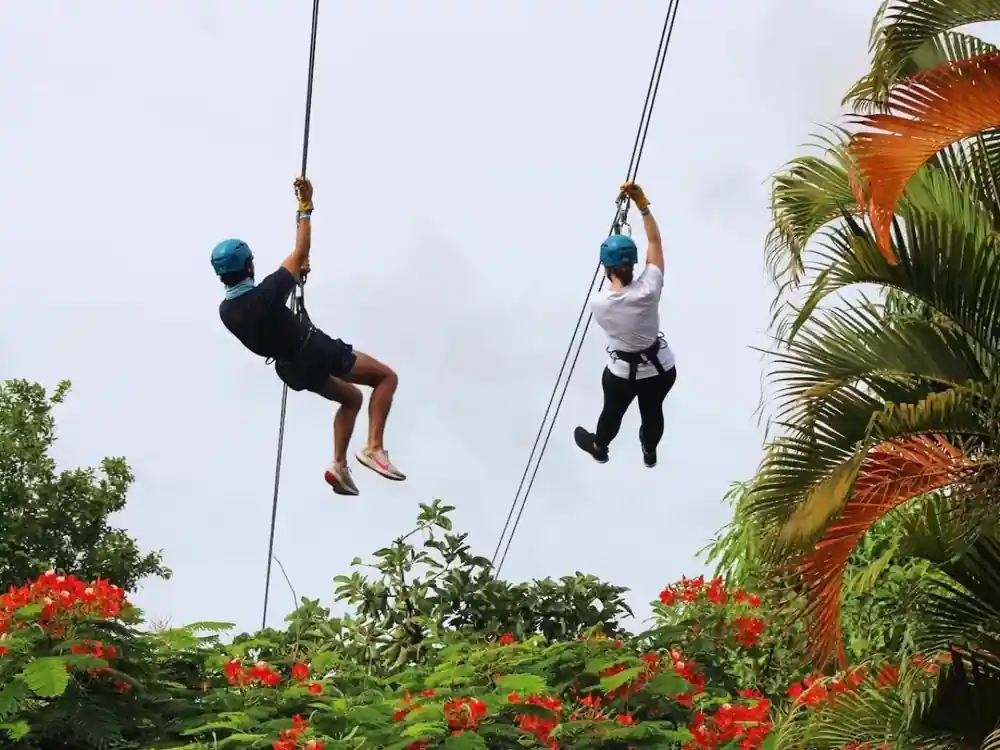 Two riders side by side against the sky above flame trees
